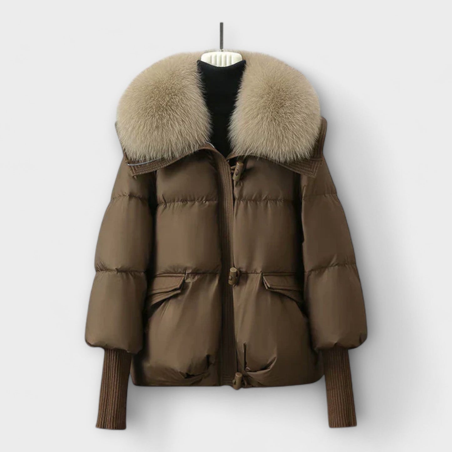 Elegant Coat with Fur